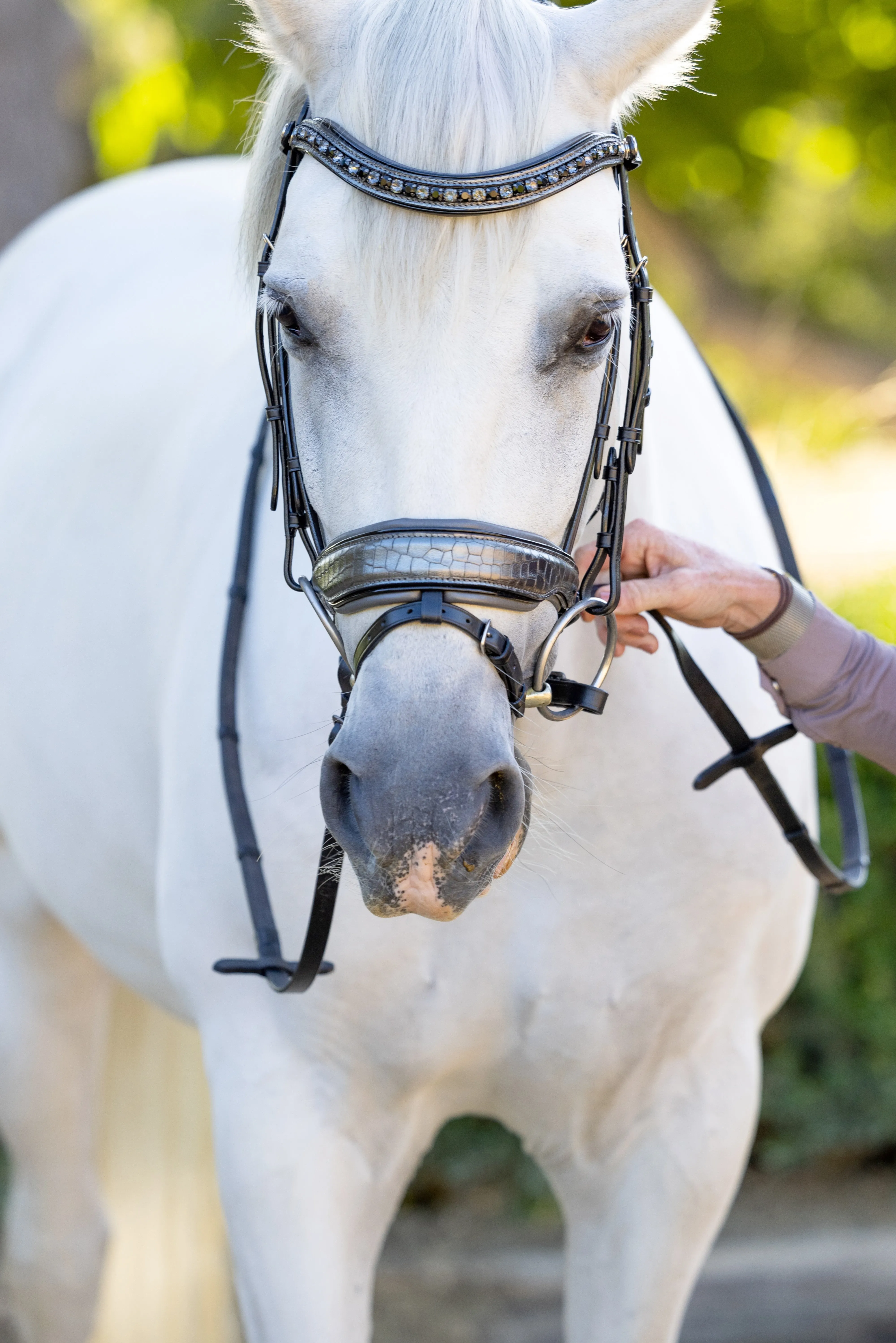 Artemis Black Leather Snaffle Bridle